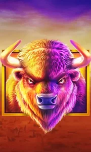 Buffalo King
