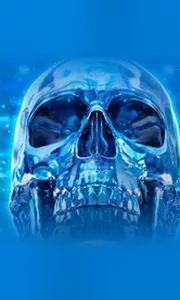 Crystal Skull